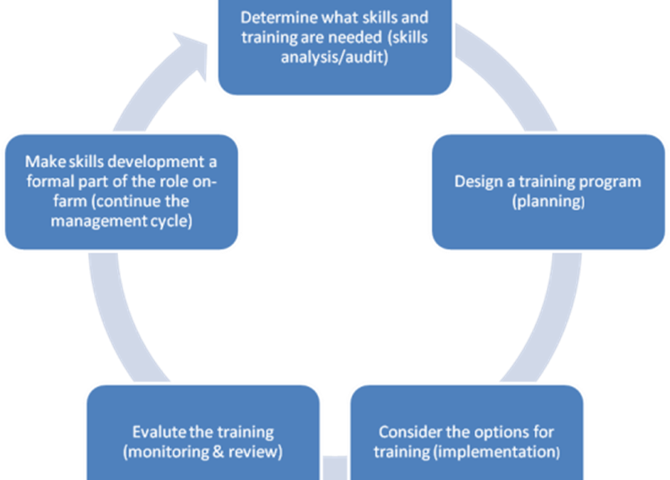 Training program steps | The People in Dairy